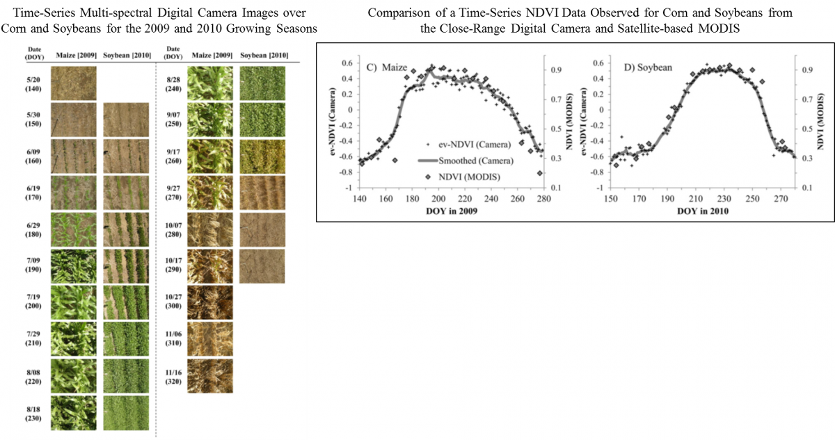 A growing season time series of multi-spectral image collected with a conventional digital camera over a corn and soybeans (on left). Comparison of a green chlorophyll index (CI) data time series observed over corn and soybeans from imagery acquired from the close-range digital camera and the satellite-based MODIS sensor (on the right).