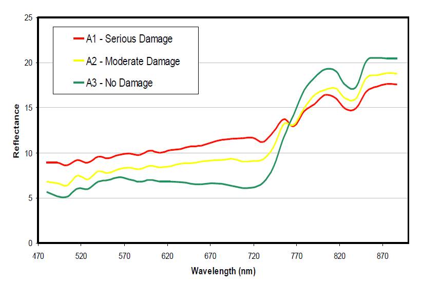 Spectral profiles of WCM damage