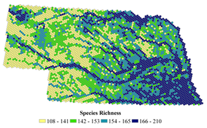 Image: Total species richness distribution by quartile (modeling hexagon)