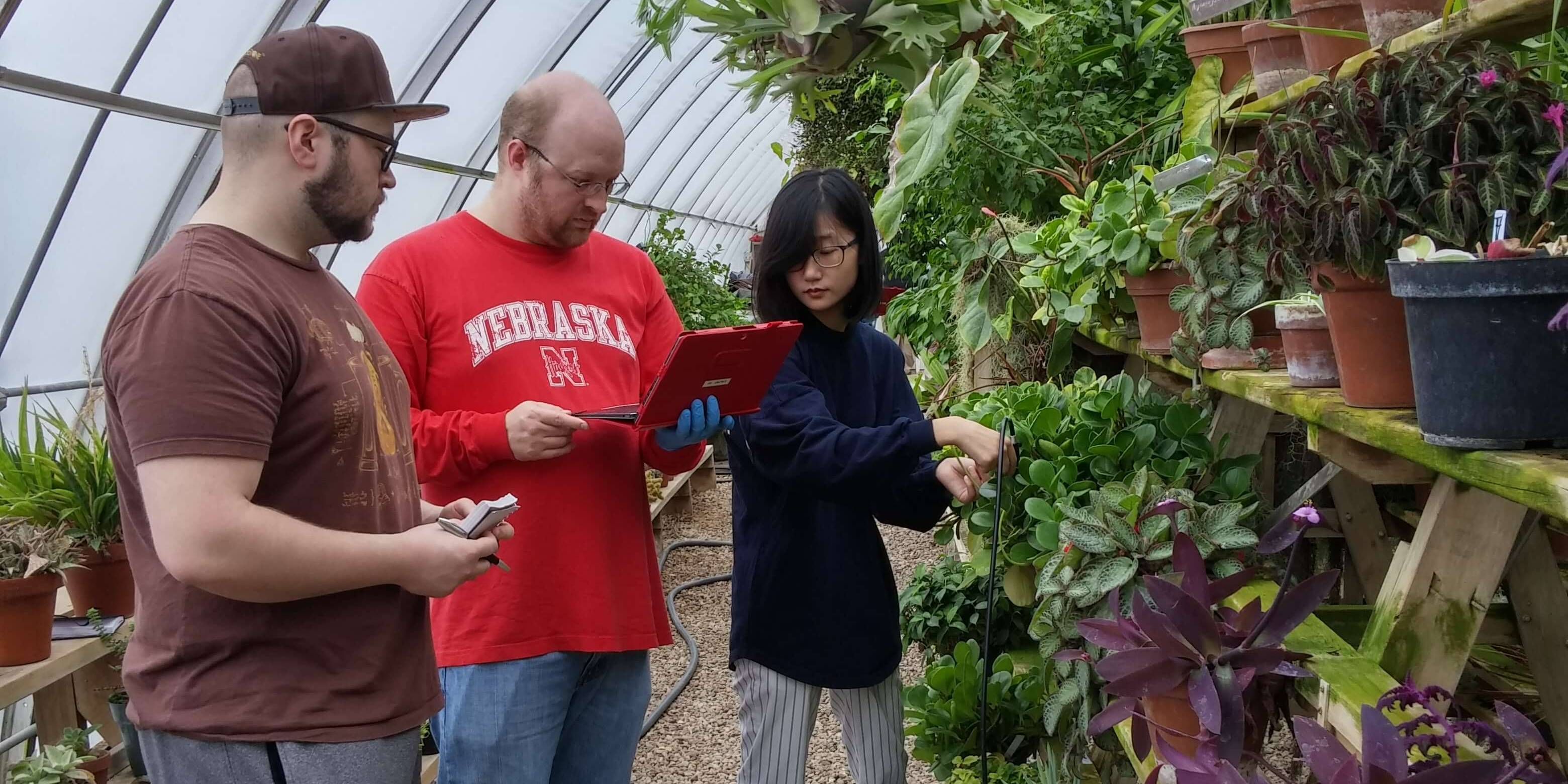 CALMIT students in greenhouse