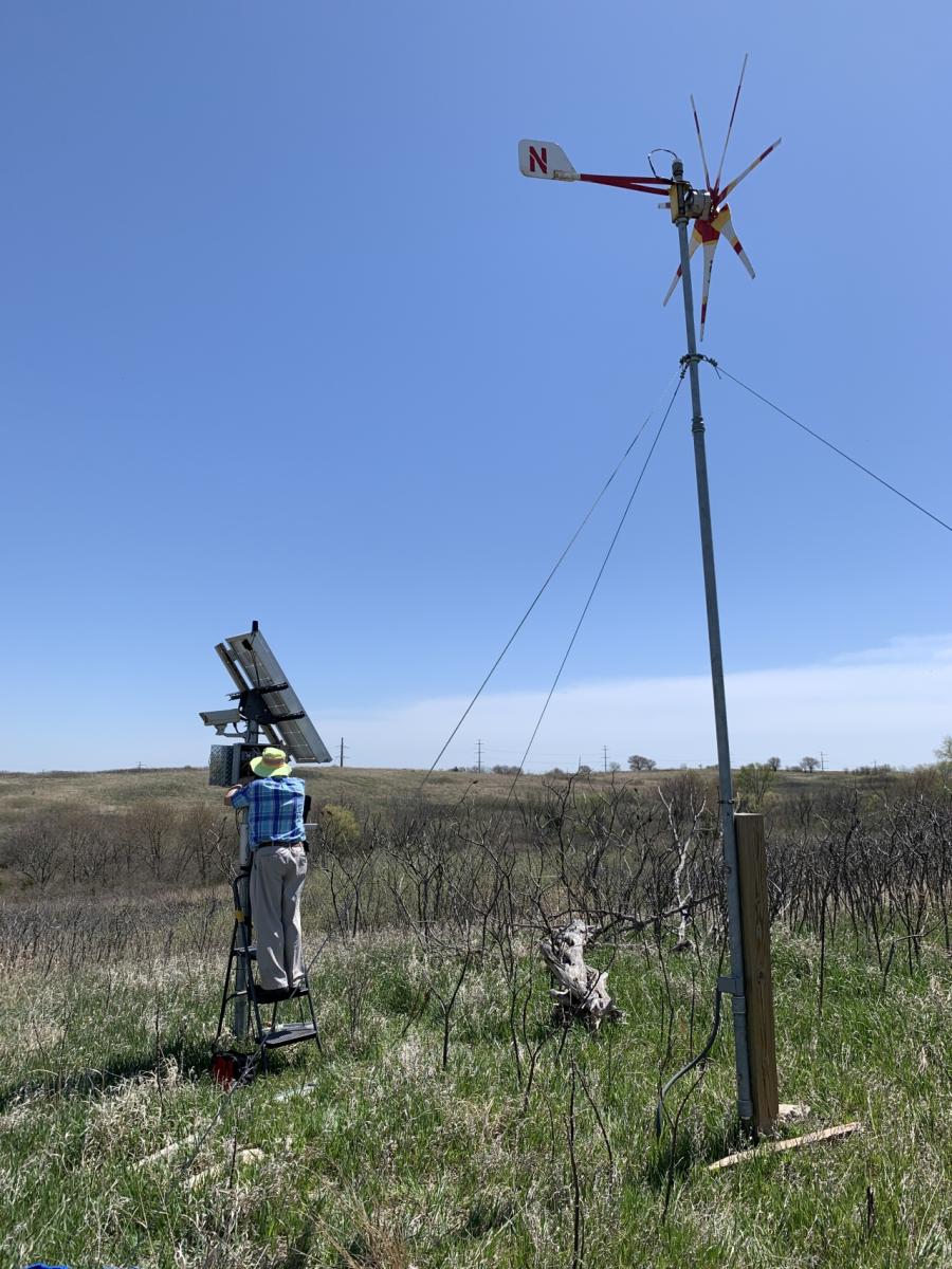 CALMIT phenocam at 9-mile prairie