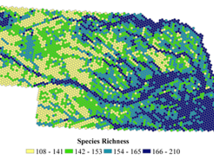 NE GAP species richness