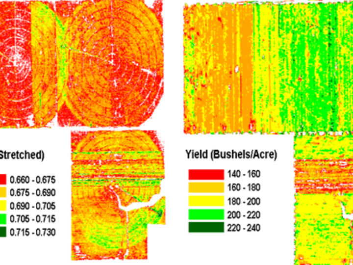 Vegetation productivity