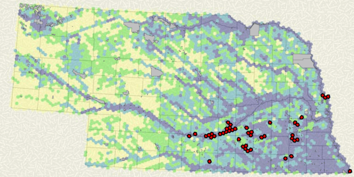 Nebraska GAP species richness