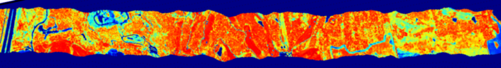 Remote sensing NDVI image