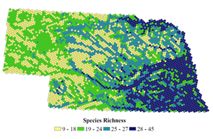 Nebraska GAP amphibian and reptile species richness map