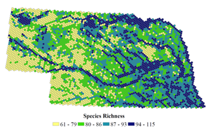 Nebraska GAP bird species richness map