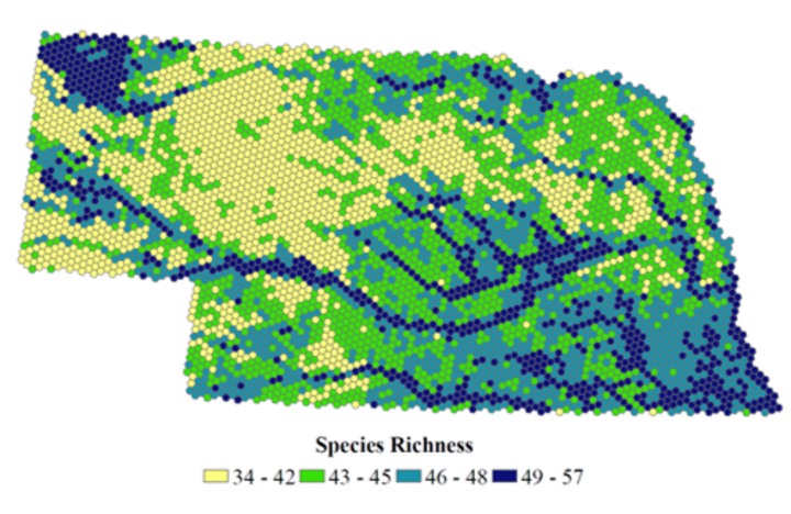 Nebraska GAP mammal species richness map