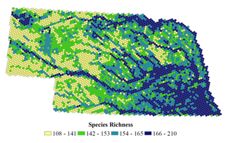 Nebraska GAP total species richness map